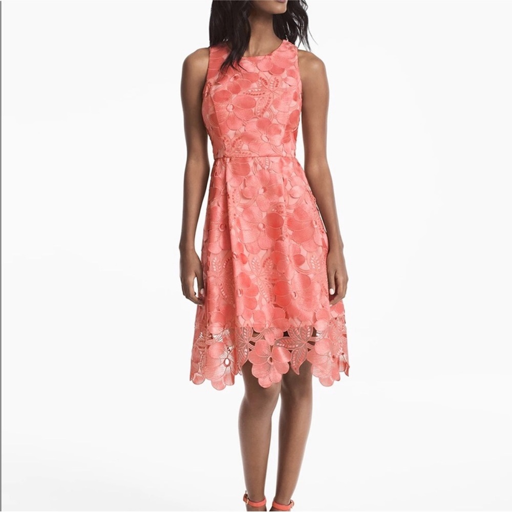 NWT WHBM Floral Dress